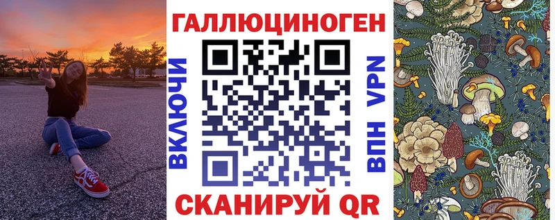 Купить где  Морозовск  Галлюциногенные грибы Psilocybine cubensis 