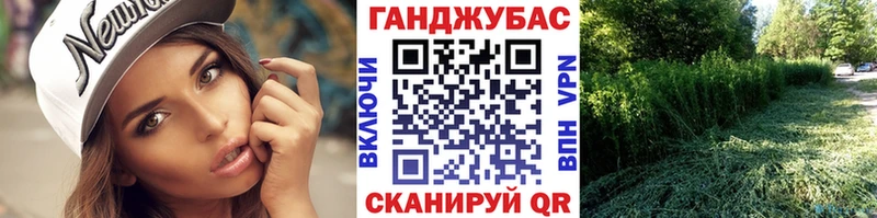 Каннабис Amnesia  Купить где  Морозовск 